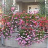 apartmani-kladovo